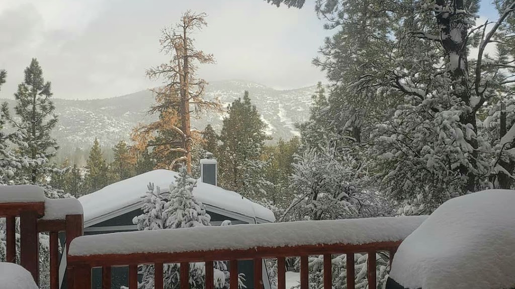 Brill Bear Cabin | 121 E Starr Dr, Big Bear, CA 92314, USA | Phone: (310) 488-3695