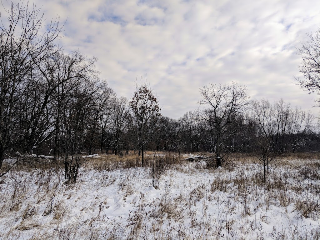 Pine Island Savanna State Natural Area | Levee Rd, Baraboo, WI 53913, USA | Phone: (888) 936-7463