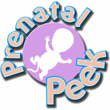 Prenatal Peek 3D/4D Ultrasound | 841 S Glendora Ave, West Covina, CA 91790, USA | Phone: (626) 935-5684