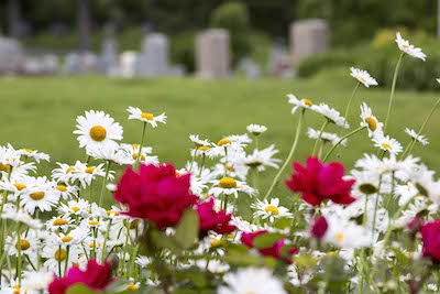 Cincinnati Catholic Cemetery Society | 3819 W 8th St, Cincinnati, OH 45205, USA | Phone: (513) 557-2306