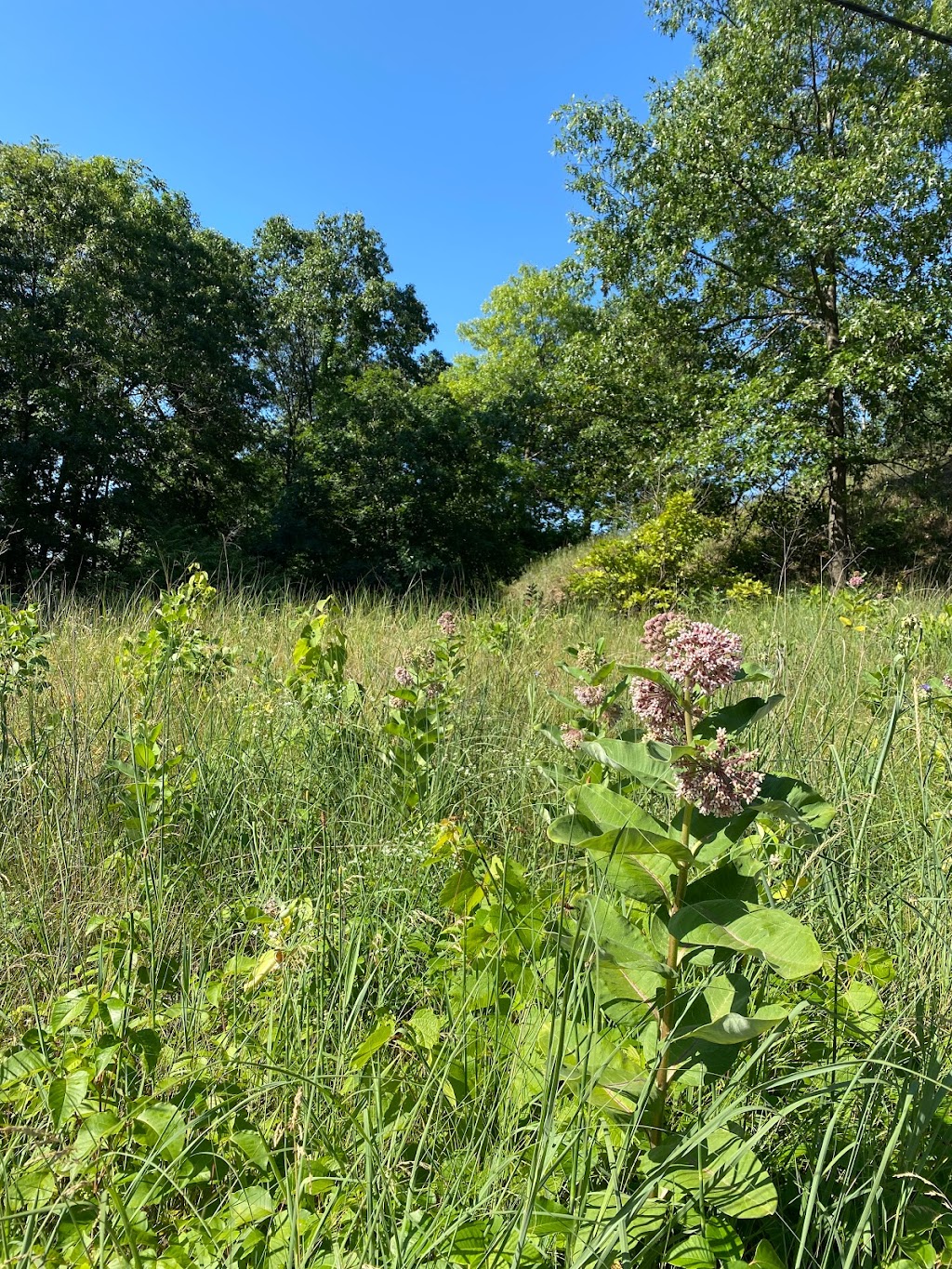 Indiana Dunes National Park West Beach Picnic Area | Gary, IN 46403, USA | Phone: (219) 395-1882