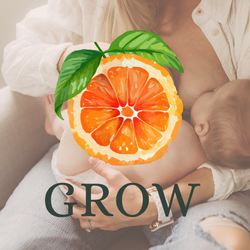 GROW Lakeland | Advanced Lactation Support | 726 S Missouri Ave, Lakeland, FL 33815, USA | Phone: (863) 354-3332