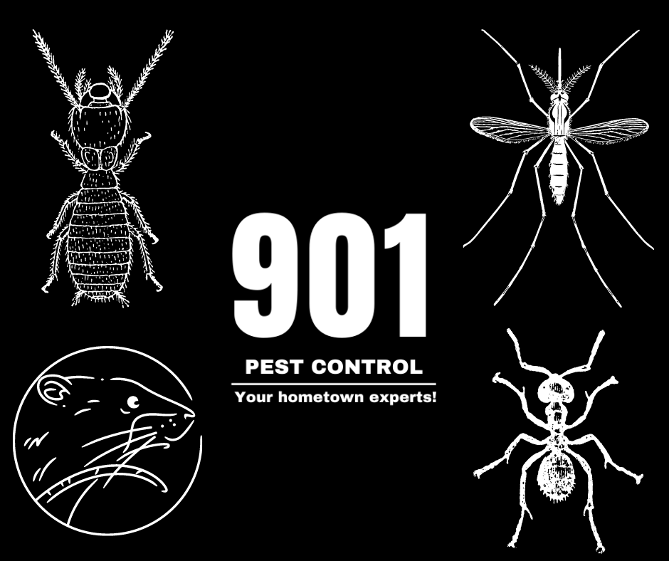 901 Pest Control - MS Office | 2170 Hwy 51 S #4, Hernando, MS 38632, USA | Phone: (662) 446-2124