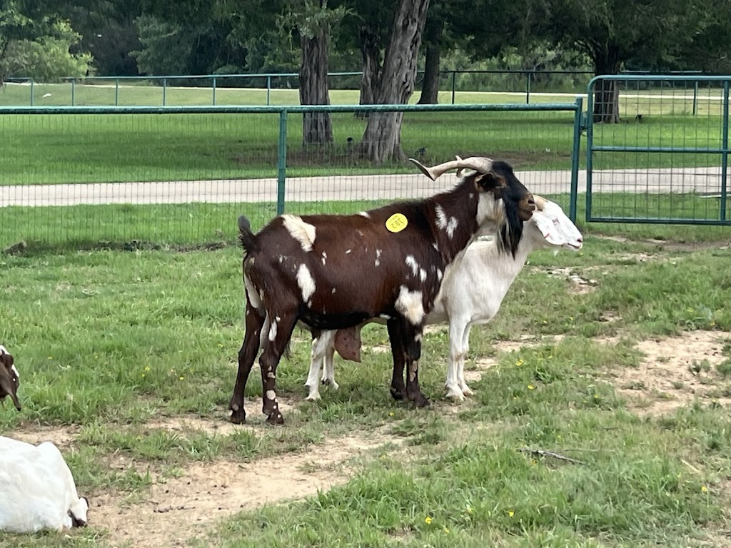 Salamis Farms | 10349 Shadow Valley Ct, Burleson, TX 76028, USA | Phone: (918) 815-0245