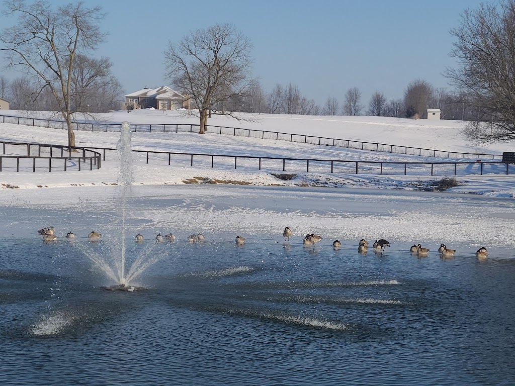 Singing Hills Stable | 1050 Stewart Fork Rd, Irvine, KY 40336, USA | Phone: (503) 680-3808