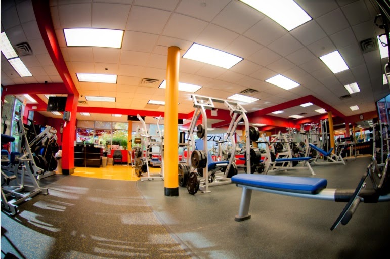 CEA FITNESS - PORT WASHINGTON | 38 Harbor Park Dr, Port Washington, NY 11050, USA | Phone: (516) 801-6170