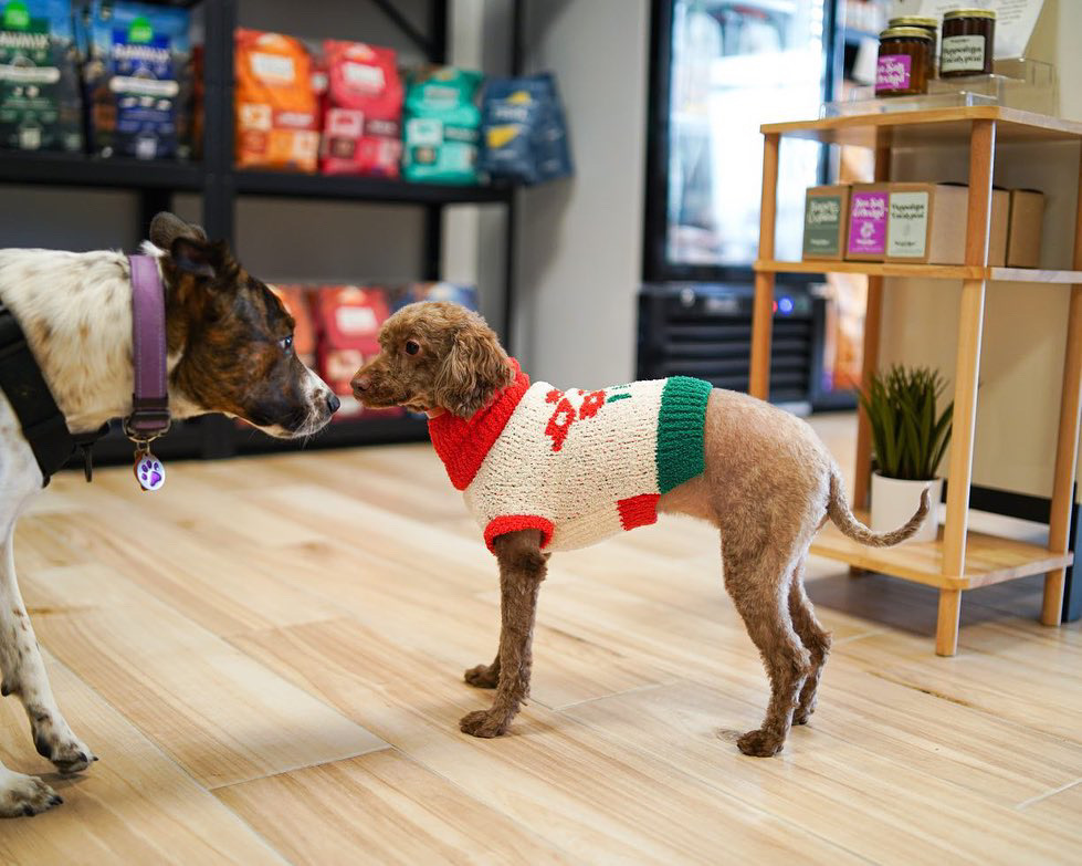 The Modern Canine - Dog Store & Grooming | 21 Belle Mead Griggstown Road Unit 104, Belle Mead, NJ 08502, USA | Phone: (908) 308-2006