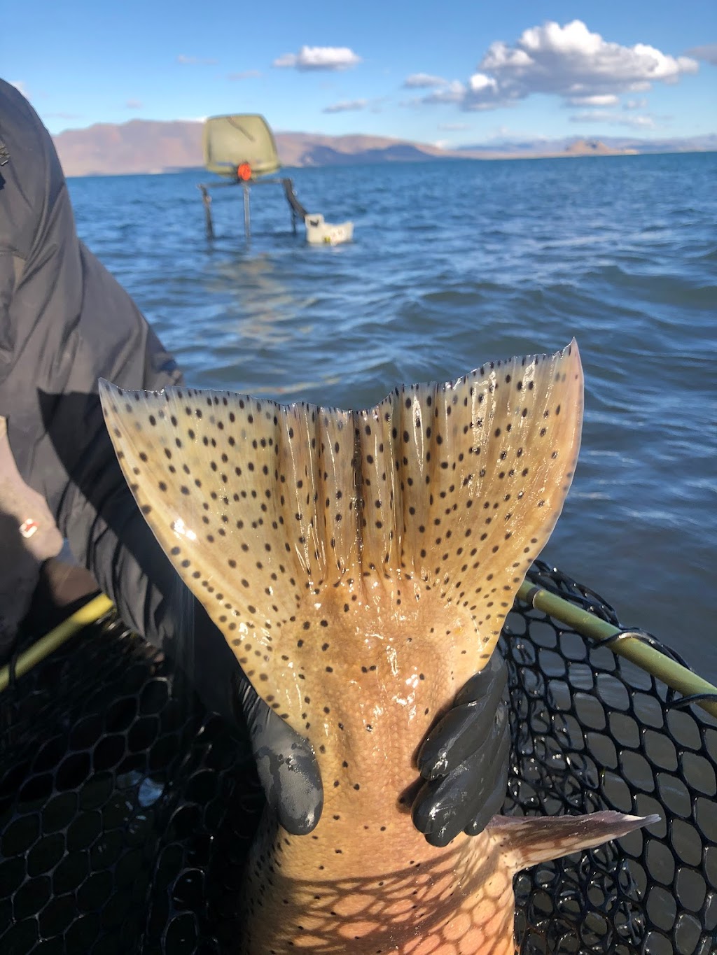 Pyramid Fly Company | 30605 Sutcliffe Dr, Reno, NV 89510, USA | Phone: (877) 732-3597