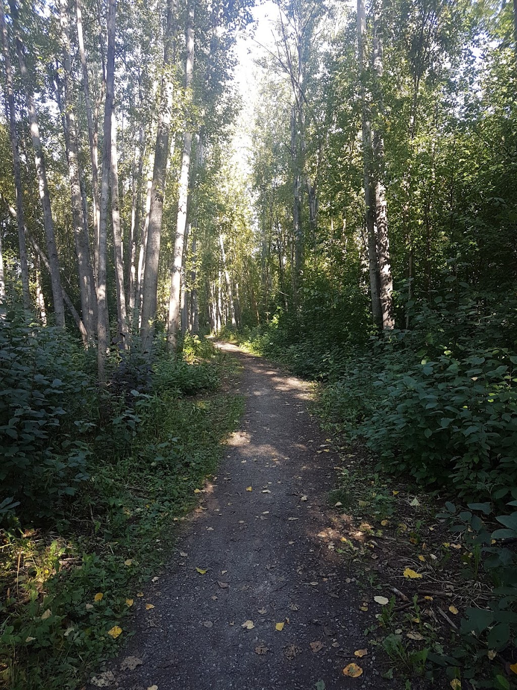 Chester Valley Park Anchorage, AK 99504, USA BusinessYab