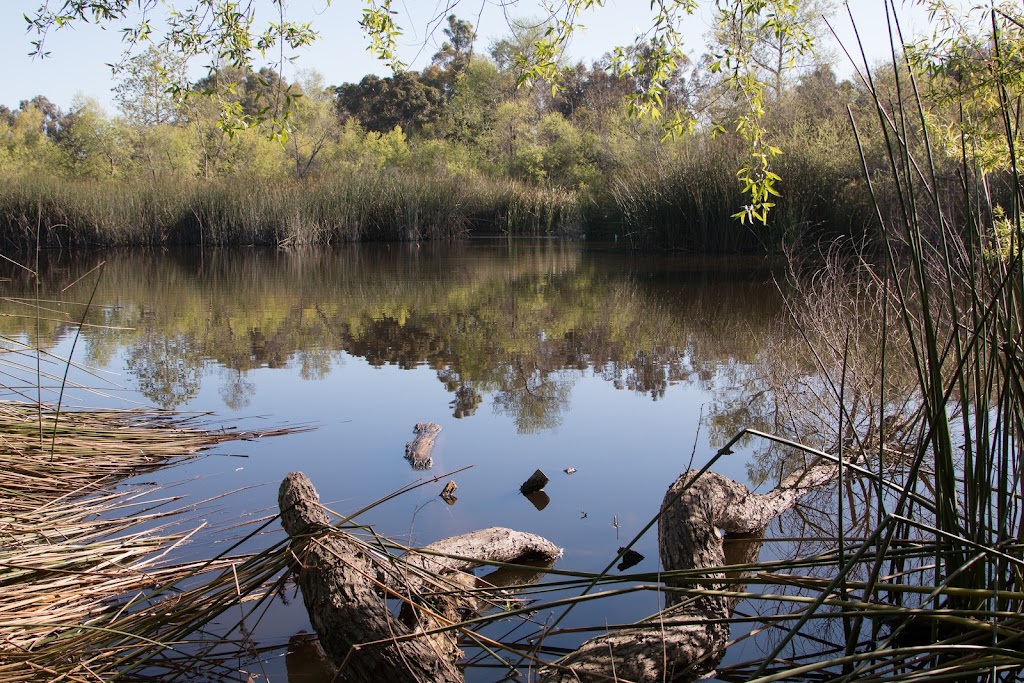 Shipley Nature Center | 17851 Goldenwest St, Huntington Beach, CA 92647, USA | Phone: (714) 842-4772