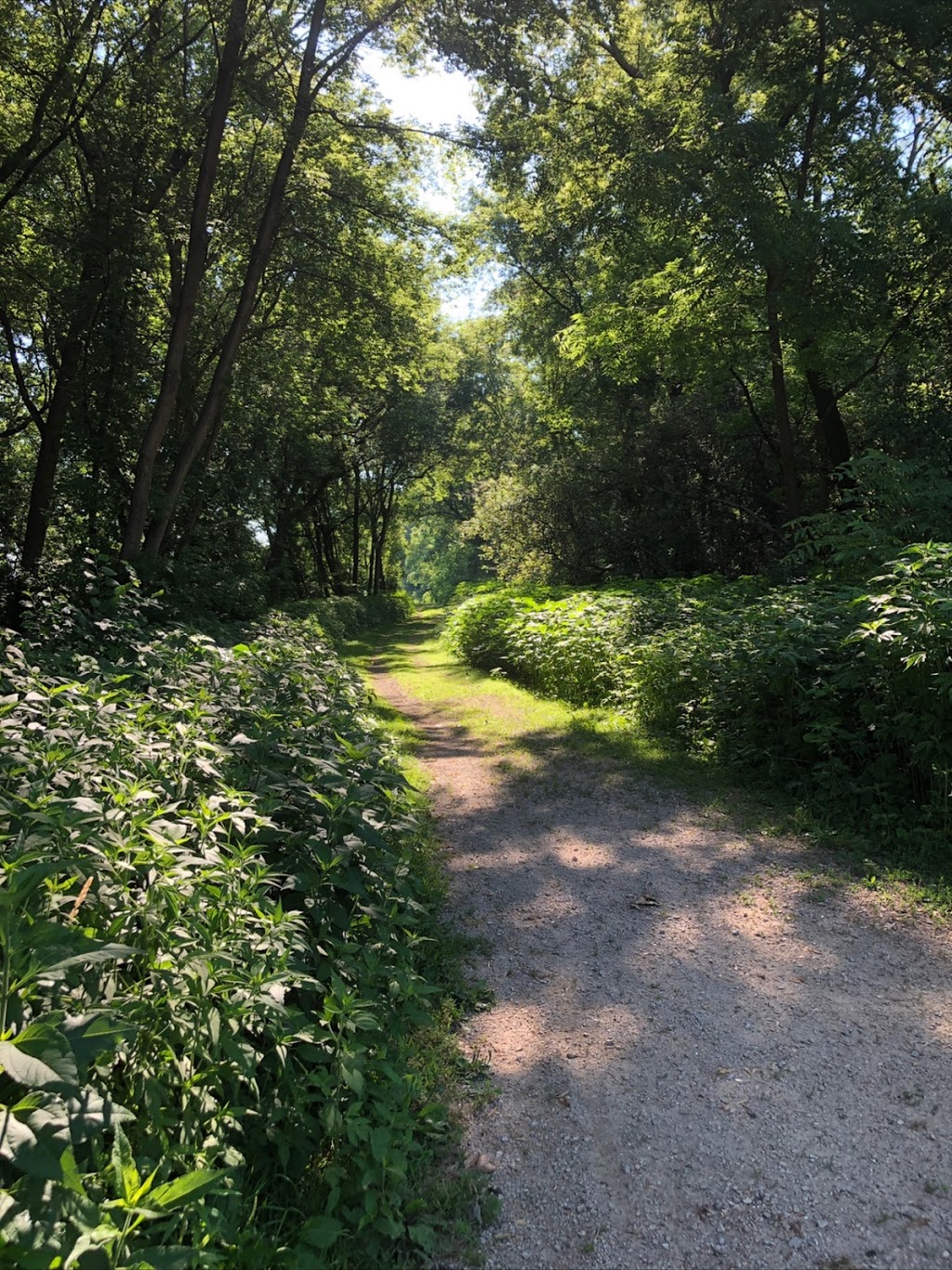 Rudy Kraemer Nature Preserve | 12799 Chowen Ave S, Burnsville, MN 55337, USA | Phone: (952) 895-4521