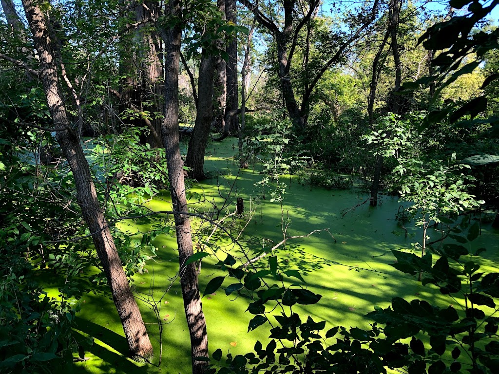 Magee Marsh | Magee Marsh Wildlife Area State Route 2 Oak Harbor OH, Curtice, OH 43412, USA | Phone: (419) 898-0960