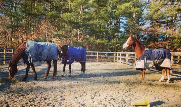 Iron River Stables | 46 Murdock St, Middleborough, MA 02346, USA | Phone: (508) 215-6890