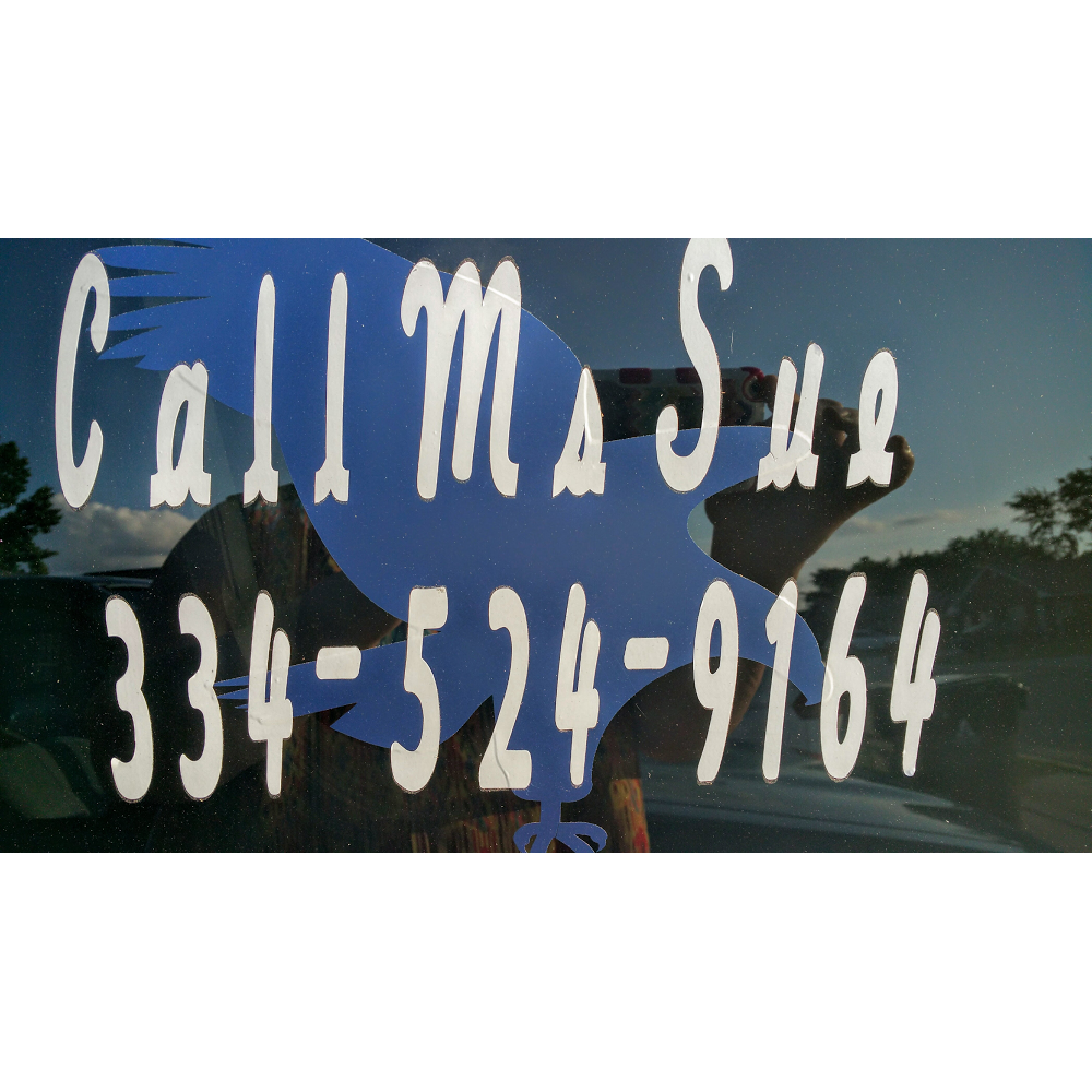 Ms. Sues Taxi | Rosie St, Auburn, AL 36832, USA | Phone: (334) 524-9164