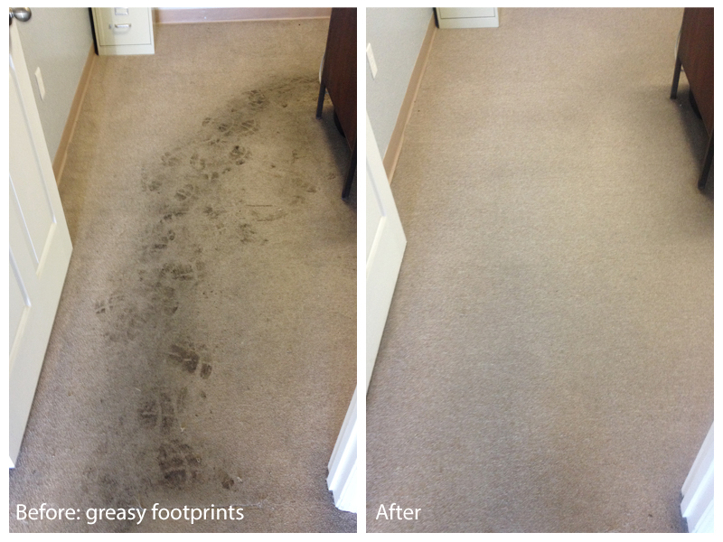 Carpet Cleaning Of Midlothian TX | 2411 S Weatherford Rd, Midlothian, TX 76065, USA | Phone: (469) 290-4542