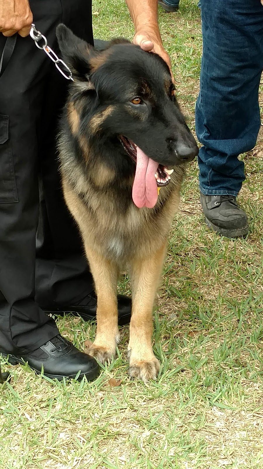 Brooksville Farmers Market | 15487 Citrus Way, Brooksville, FL 34614, USA | Phone: (352) 270-3071