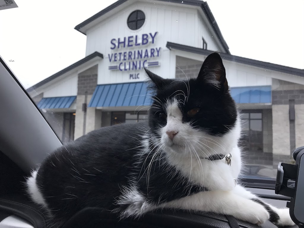 Shelby Veterinary Clinic PLLC | 61 Legacy Ct, Shelbyville, KY 40065, USA | Phone: (502) 633-3231