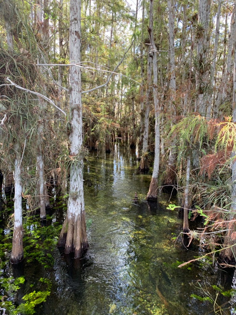 Florida National Parks Association | 10 Parachute Ky #51, Homestead, FL 33034, USA | Phone: (305) 247-1216