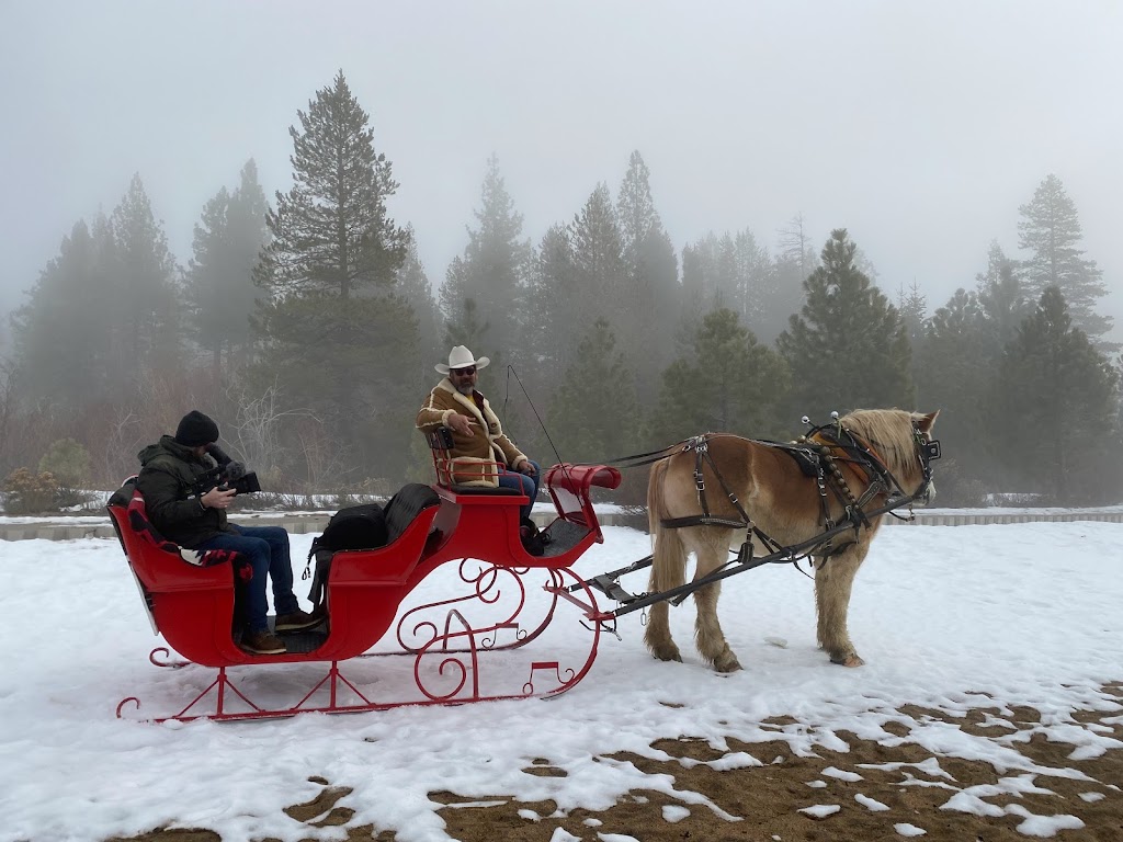 Borges Sleigh & Carriage Rides | 4130 Lake Tahoe Blvd, South Lake Tahoe, CA 96150, USA | Phone: (775) 588-2953