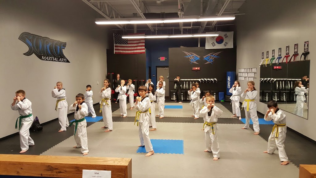 Surge Martial Arts | N56W14044 Silver Spring Dr #108, Menomonee Falls, WI 53051, USA | Phone: (262) 391-6306