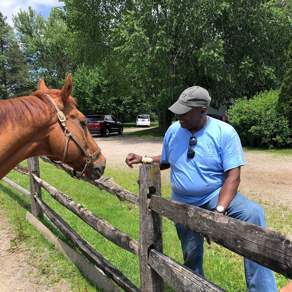 In Step With Horses | 9495 Stafford Rd, Chagrin Falls, OH 44023, USA | Phone: (440) 381-9555