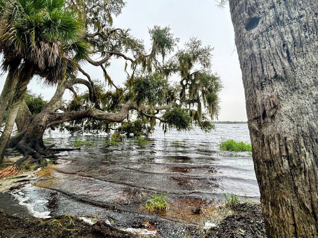 Myakka River State Park | Sarasota, FL 34241, USA | Phone: (941) 361-6511