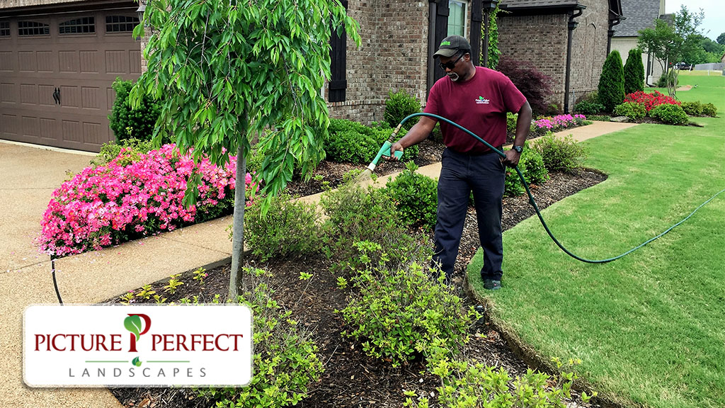 Picture Perfect Landscapes | 5180 Crestview Rd, Memphis, TN 38134 | Phone: (901) 350-6783