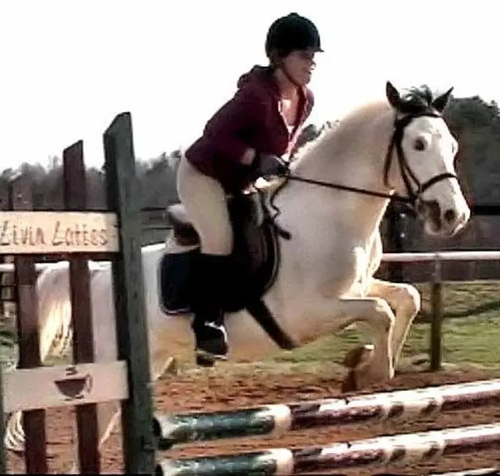 Cardinal Stables and Riding Academy | 1009 US-601, Yadkinville, NC 27055, USA | Phone: (336) 399-7099
