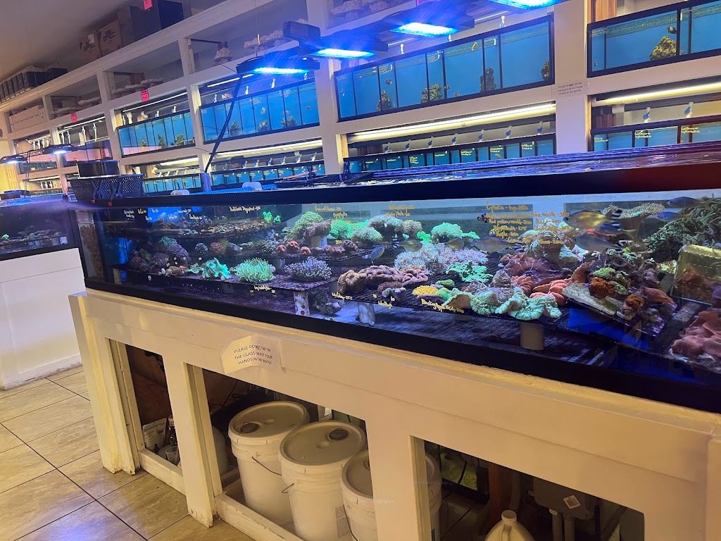 The Aquarium Shop Westbury | 461 Old Country Rd, Westbury, NY 11590, USA | Phone: (516) 333-0682