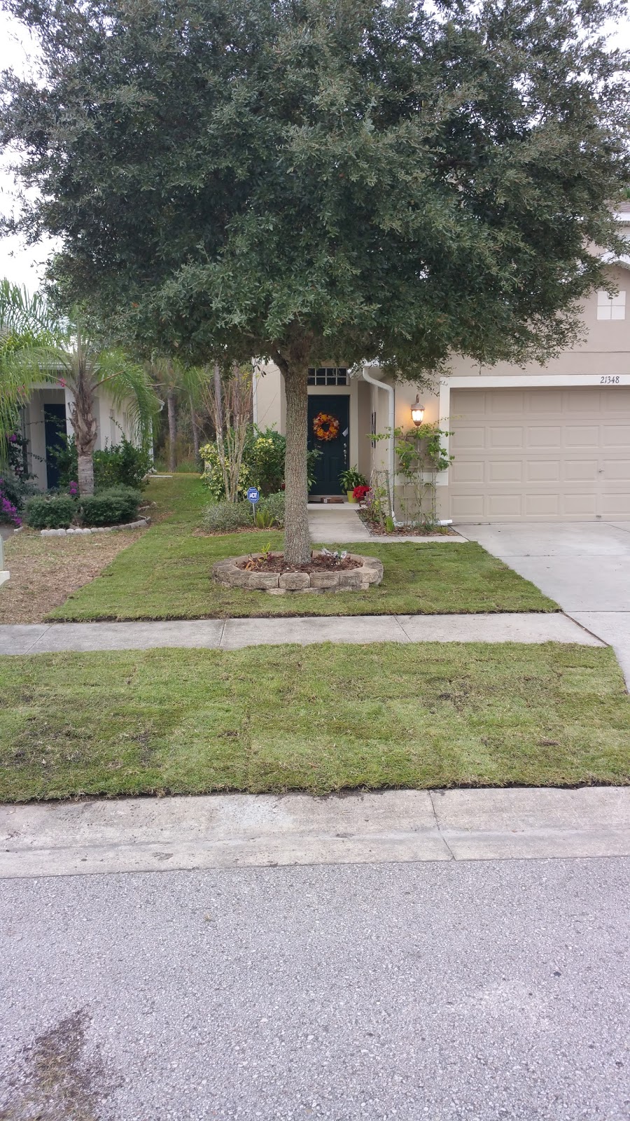 Floridas Green Thumb Lawn & Pest control | 10529 Land O Lakes Blvd, Land O Lakes, FL 34638, USA | Phone: (866) 342-0164