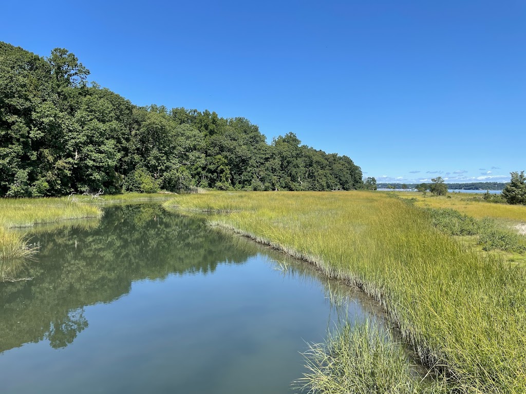 Sagamore Hill National Historic Site | 20 Sagamore Hill Rd, Oyster Bay, NY 11771, USA | Phone: (516) 922-4788