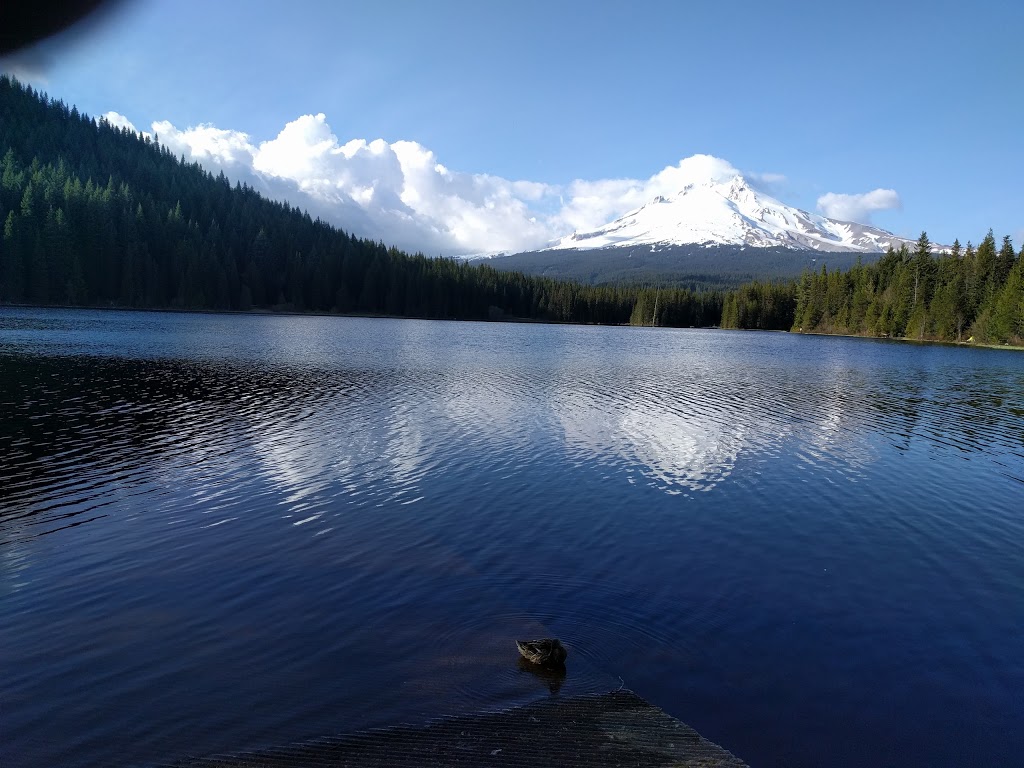 East Holladay Park and Dog Park | 12999 NE Holladay St, Portland, OR 97230, USA | Phone: (503) 823-7529