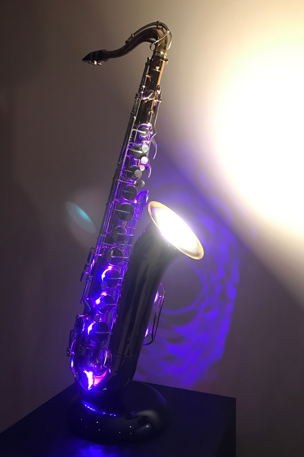 Instrumental Lamps | 2660 Oak Ridge Dr, Monticello, MN 55362, USA | Phone: (763) 438-6925