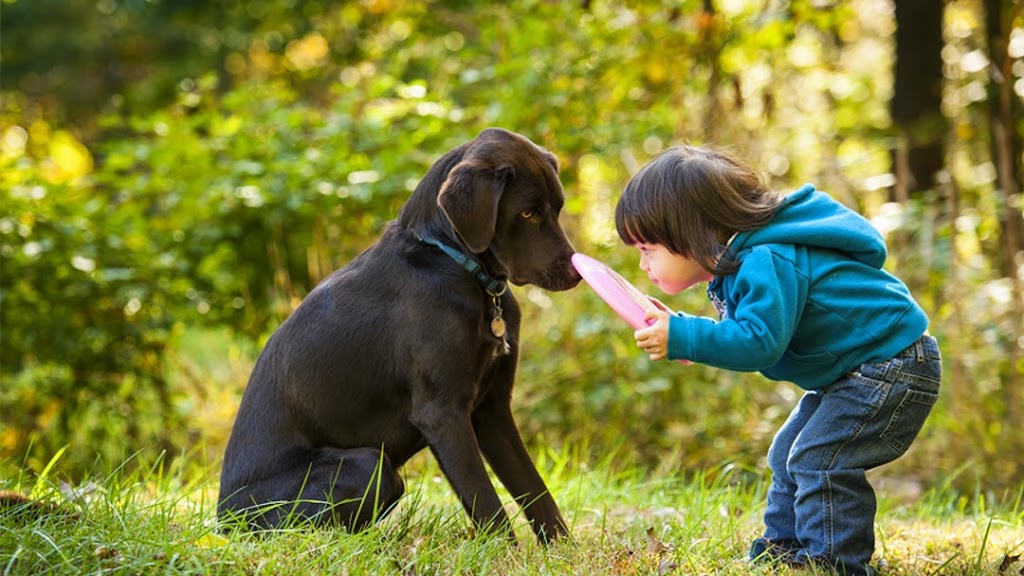 Legacy Village Veterinary Clinic | 7224 Independence Pkwy, Plano, TX 75025, USA | Phone: (972) 491-6733