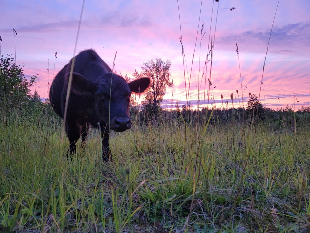 Printz Basin Farms | 7010 Barkubein Rd E, Buckley, WA 98321, USA | Phone: (253) 221-1018