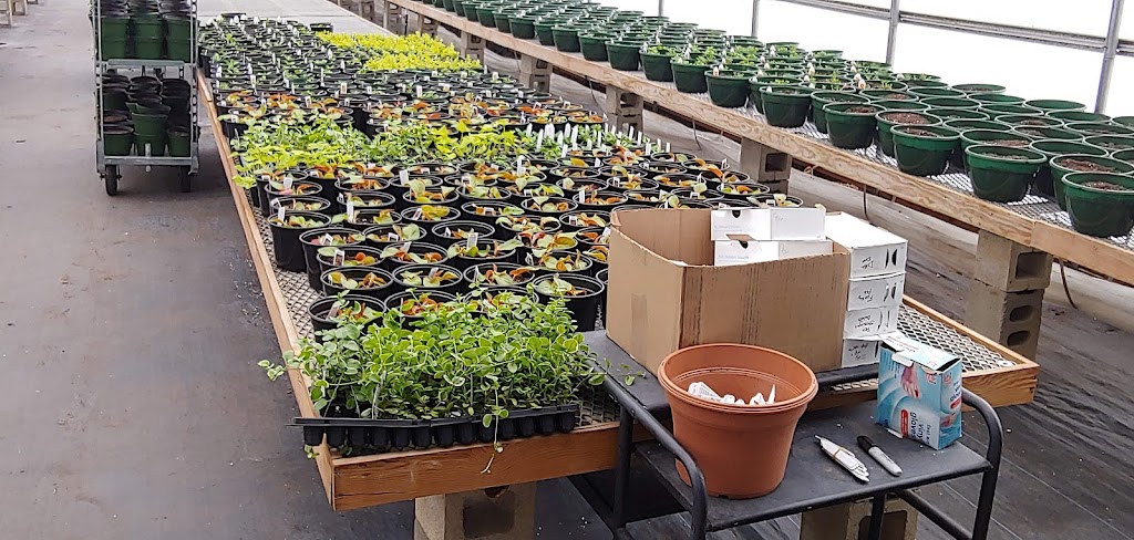 Yerico Farms LLC | 3186 E Main St, Dunkirk, NY 14048, USA | Phone: (716) 673-1271