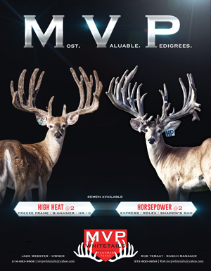 MVP Whitetails | 4400 Kaufman Rd, Kaufman, TX 75142, USA | Phone: (214) 683-9906