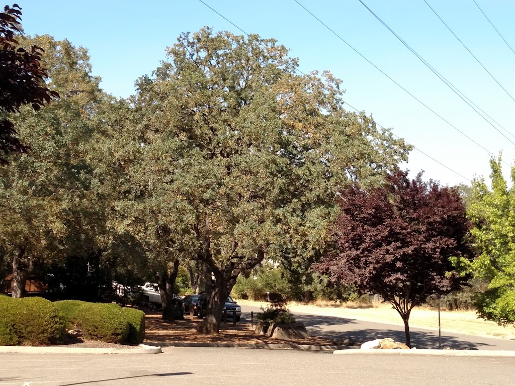 Stephen Harris Park | Stephen Harris Park, 2560 Riviera Cir, El Dorado Hills, CA 95762, USA | Phone: (916) 933-6624