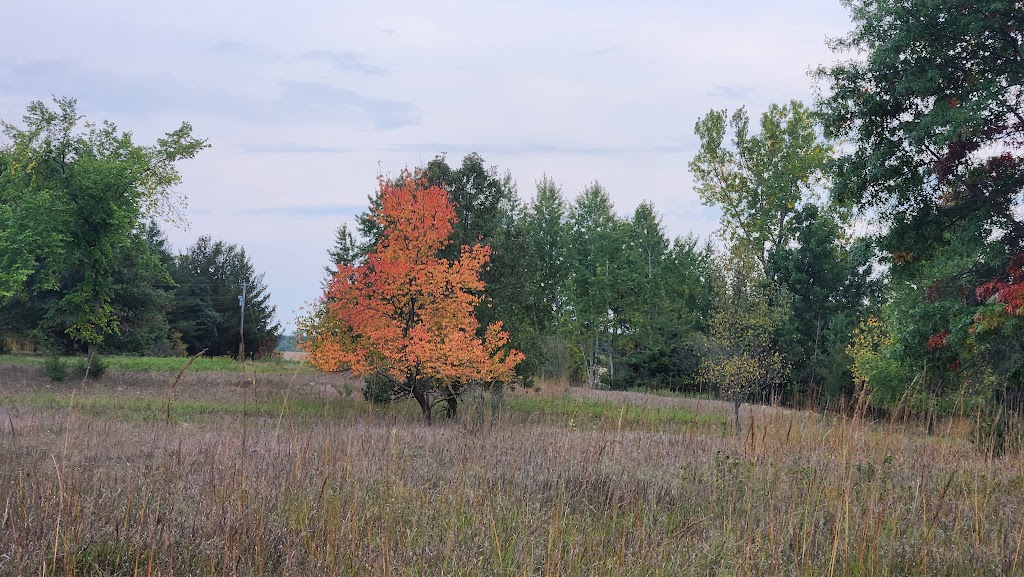 Marget Lake State Wildlife Management Area | Isanti, MN 55040, USA | Phone: (651) 296-6157