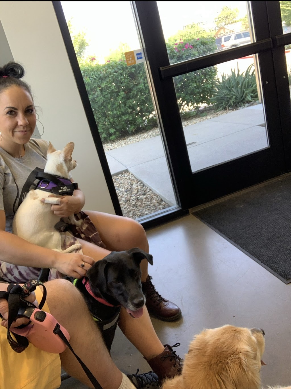 Peoria Animal Hospital | 8925 W Peoria Ave, Peoria, AZ 85345, USA | Phone: (623) 979-3288