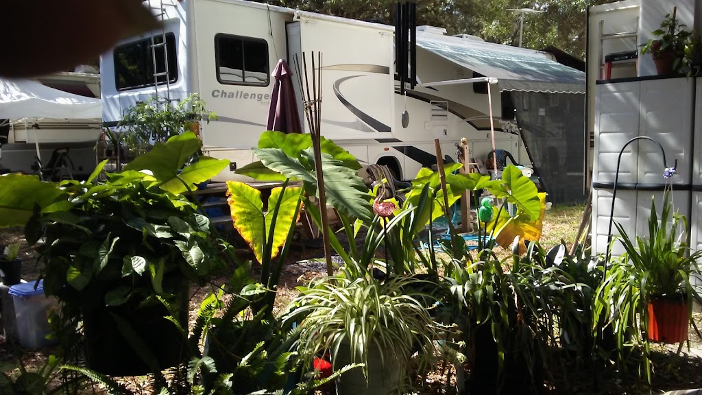 Anclote Village Rv Park | 1421 Calvary Rd, Holiday, FL 34691, USA | Phone: (727) 226-5237