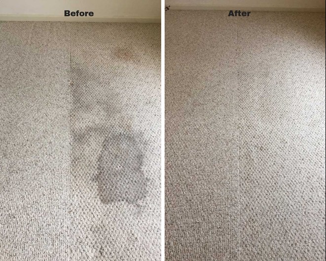 Rays Carpet Cleaning Service | 25764 Nancy St, Crete, IL 60417, USA | Phone: (708) 362-2013