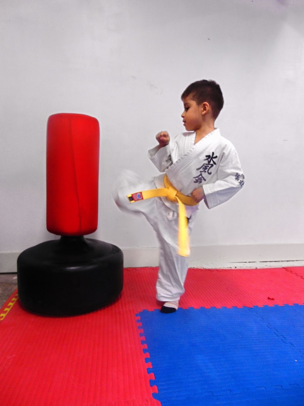 Karate Wado Kai Michigan | 45021 W Pontiac Trail, Novi, MI 48377, USA | Phone: (248) 722-9015