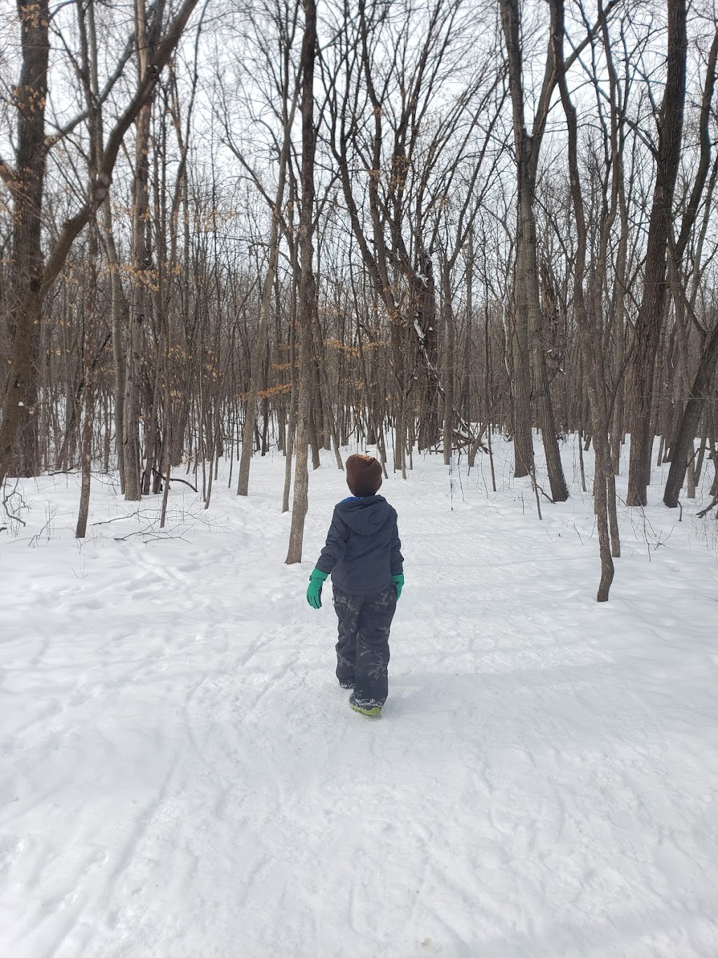 Eastman Nature Center | 13351 Elm Creek Rd, Maple Grove, MN 55369, USA | Phone: (763) 694-7700