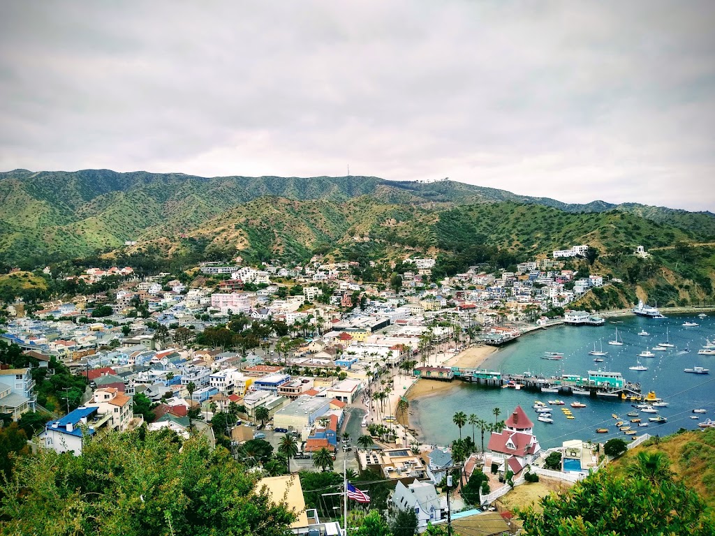 Snorkeling Catalina | 107 Pebbly Beach Rd, Avalon, CA 90704, USA | Phone: (310) 510-3175