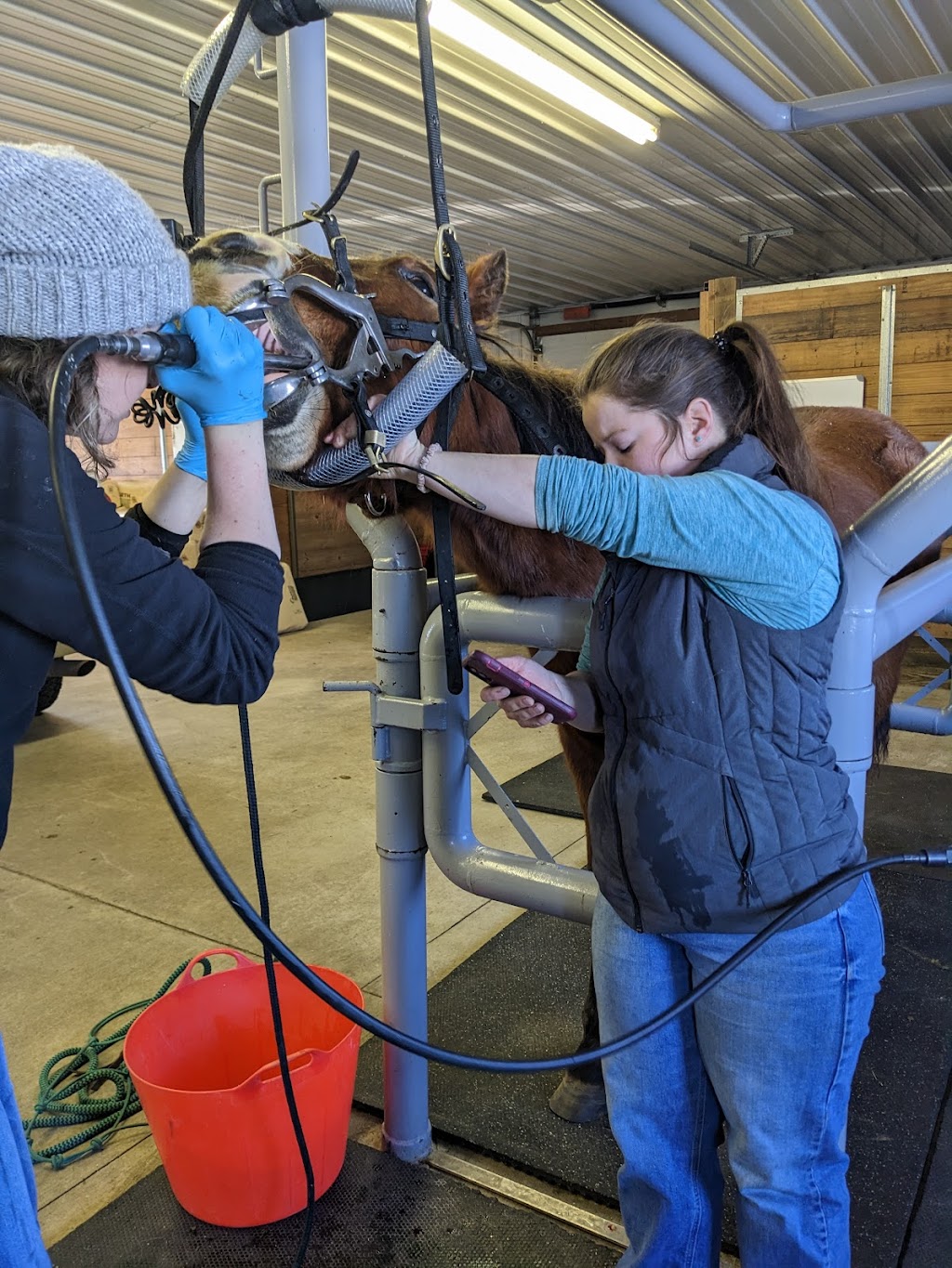 Sunrise Equine Veterinary Services | 39318 Poor Farm Rd, North Branch, MN 55056, USA | Phone: (651) 583-2162