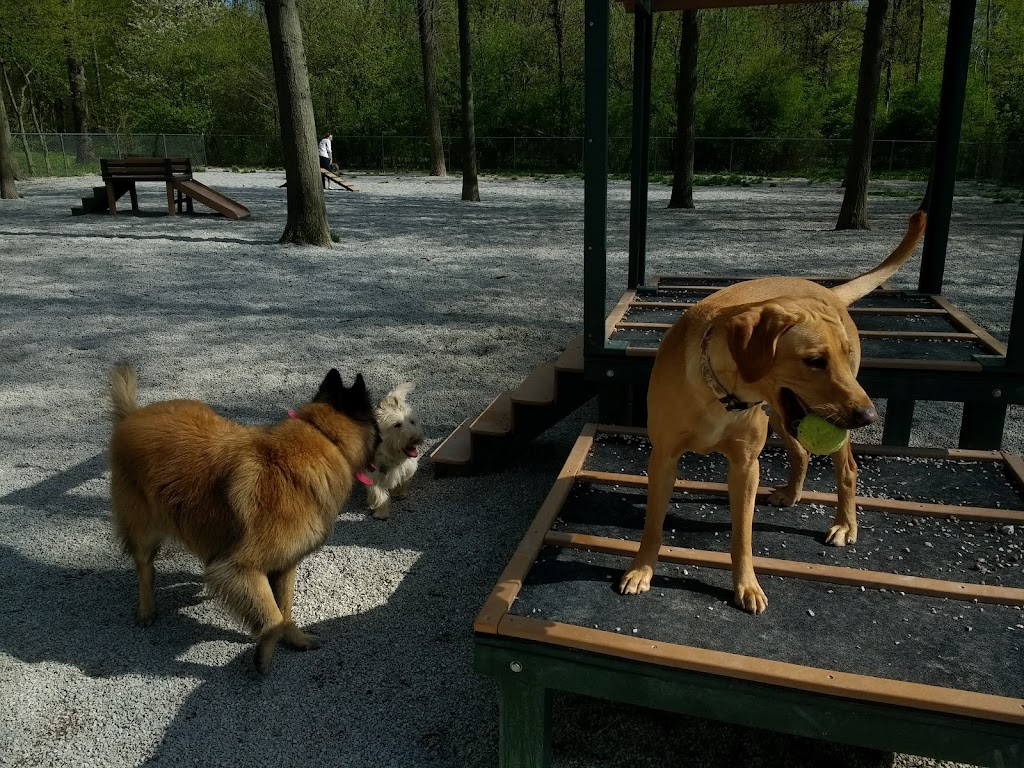 Avon Lake Dog Park | 33401 Webber Rd, Avon Lake, OH 44012, USA | Phone: (440) 933-6141