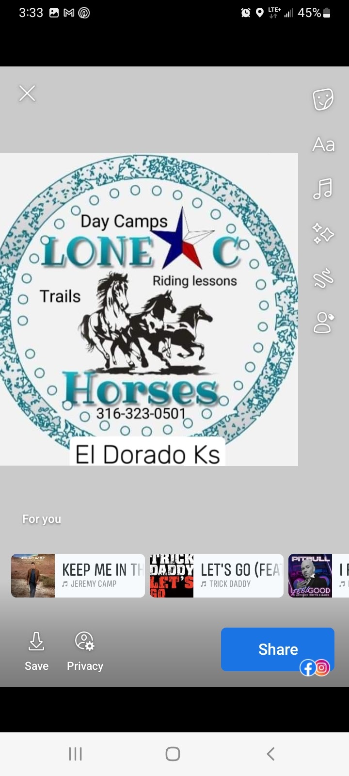 Lone C Horses LLC | 7975 SE 20th St, El Dorado, KS 67042, USA | Phone: (316) 323-0501