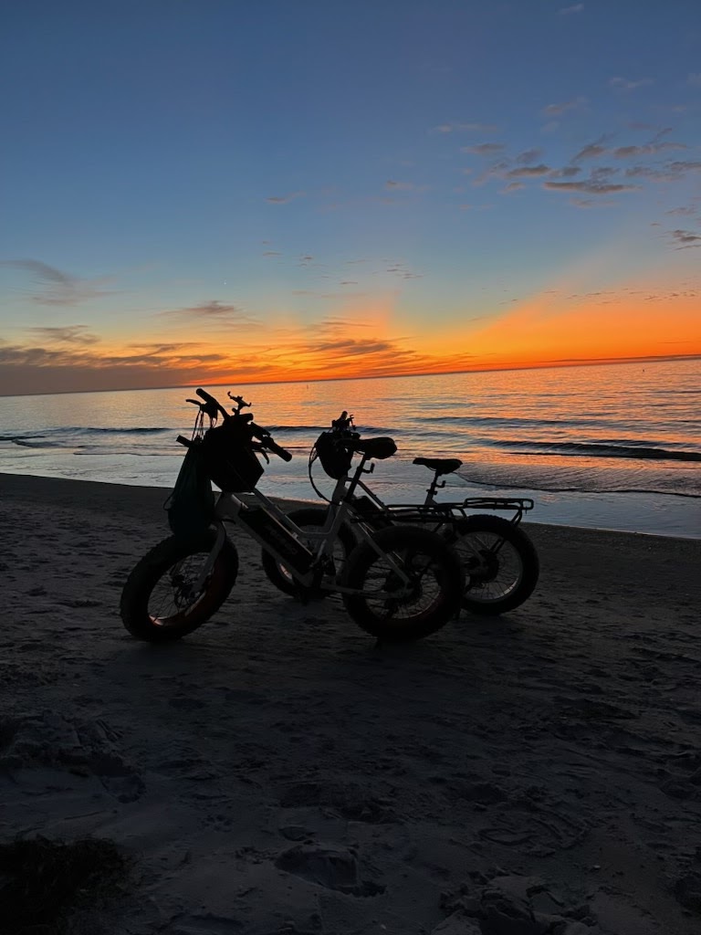 Pedego Electric Bikes Dunedin | 924 Curlew Rd Suite 102, Dunedin, FL 34698, USA | Phone: (727) 286-8237