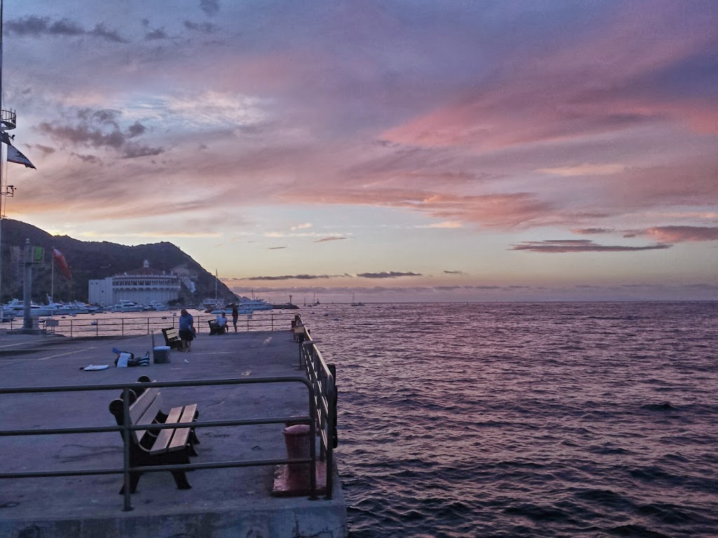 Catalina Island Visitor Center | 1 Green Pleasure Pier, Avalon, CA 90704, USA | Phone: (310) 510-1520